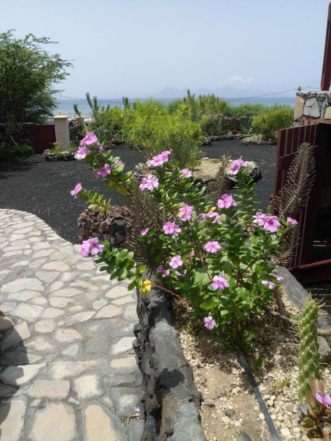 Coin De Paradis,Pavillon Doucimar Porto Novo Esterno foto
